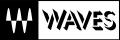 Waves logo